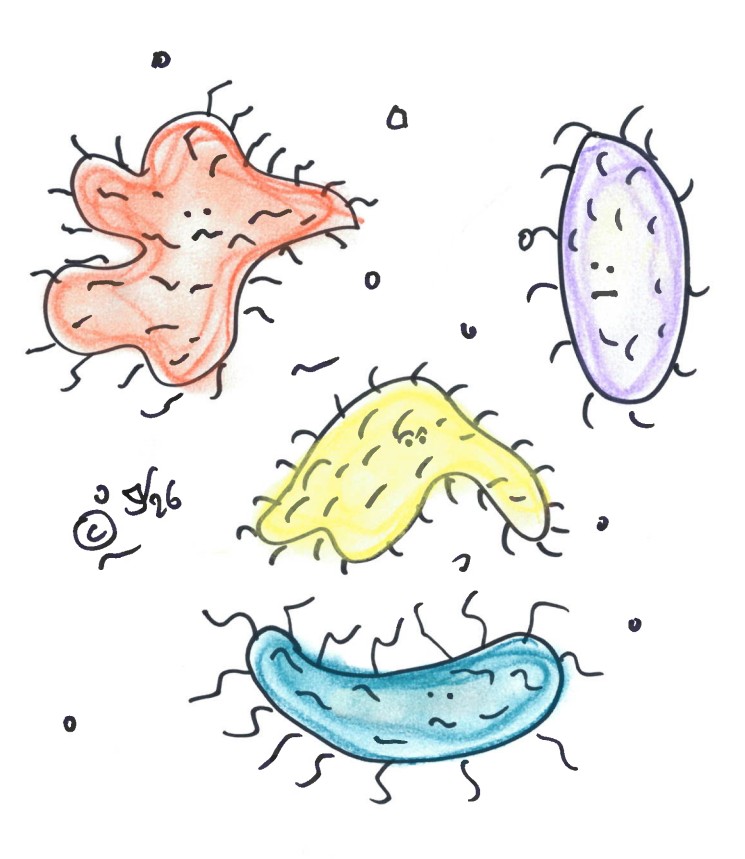 de afvalstoffen van bacteriën zijn giftig