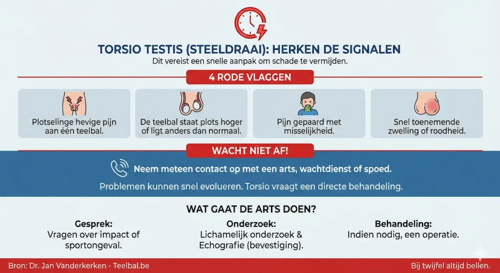 Infographic over de symptomen van Torsio Testis (steeldraai): hevige pijn, opgetrokken teelbal, misselijkheid en zwelling. Actieplan: direct contact opnemen met een arts.